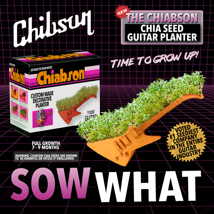 Chibson ad archive image from 2019